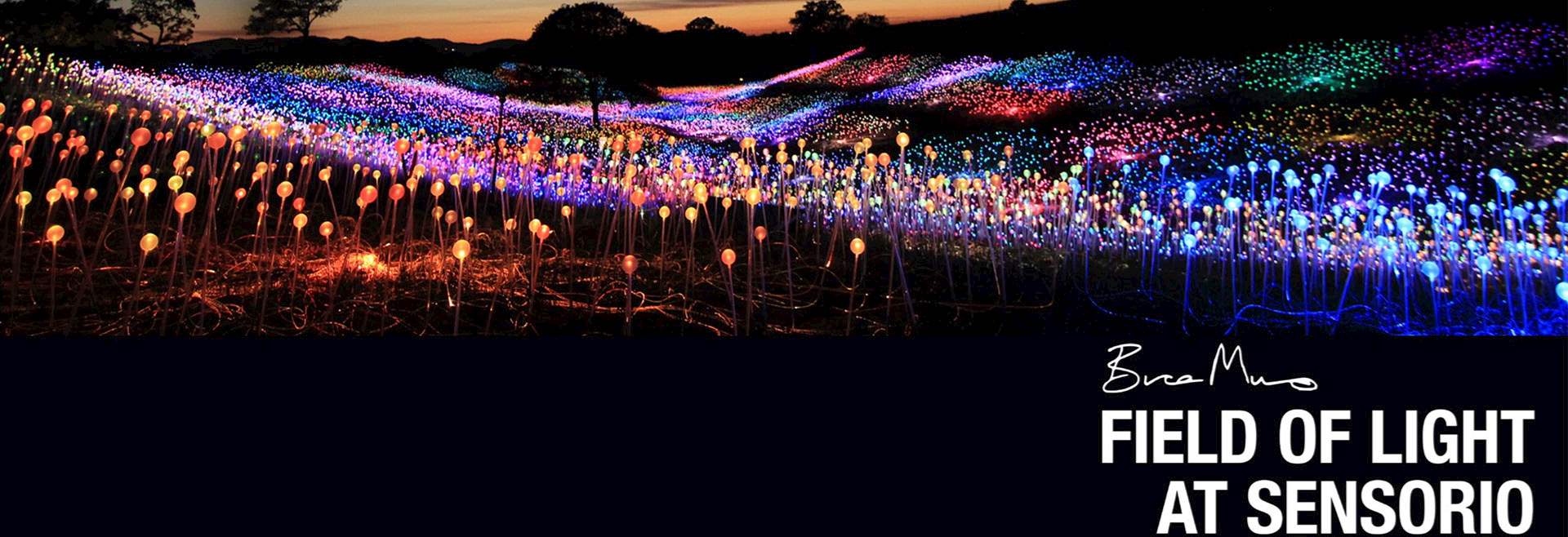 Field of Light at Sensorio Special Discount at Paso Robles Hotels