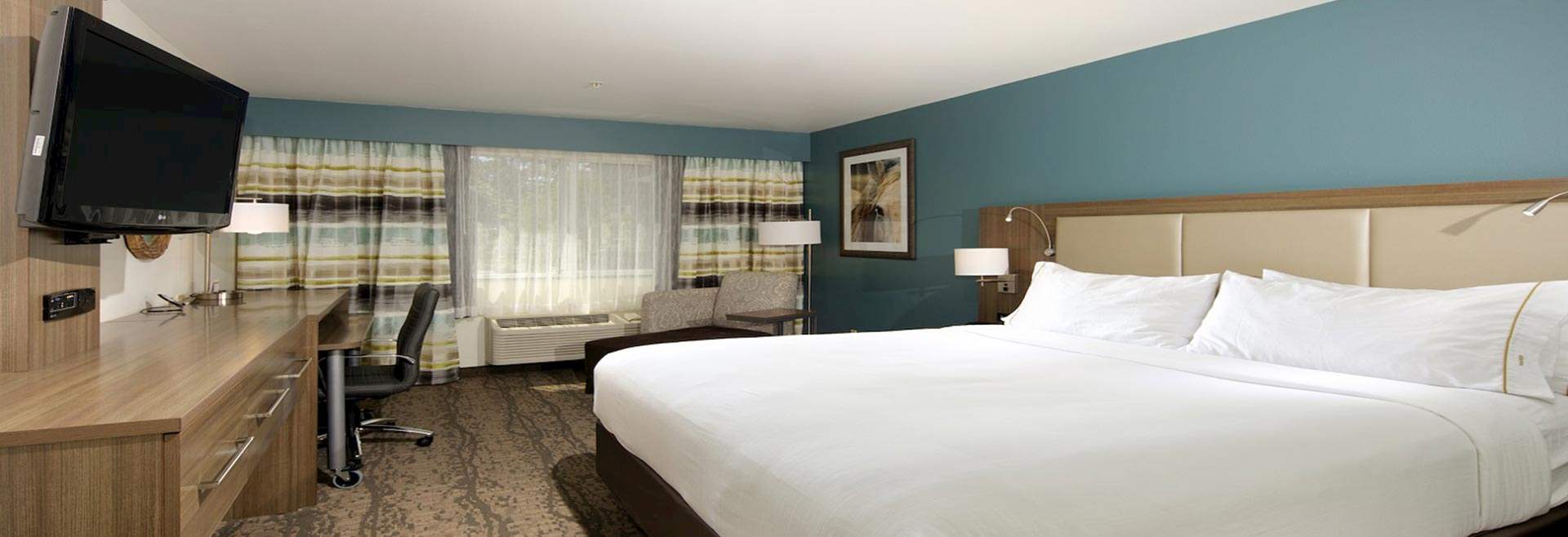 Accommodations at Holiday Inn Express Hotel & Suites - Paso Robles